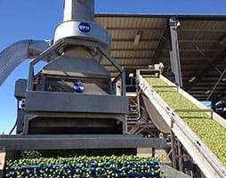 Línea de recepción