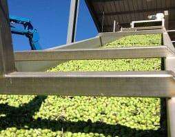 Tolvas y sistemas de elevación y transporte