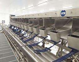 Línea de selección y clasificación