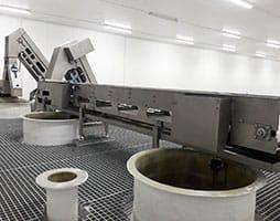 Línea de oxidación