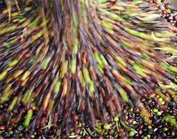 Sistemas de llenados a graneles